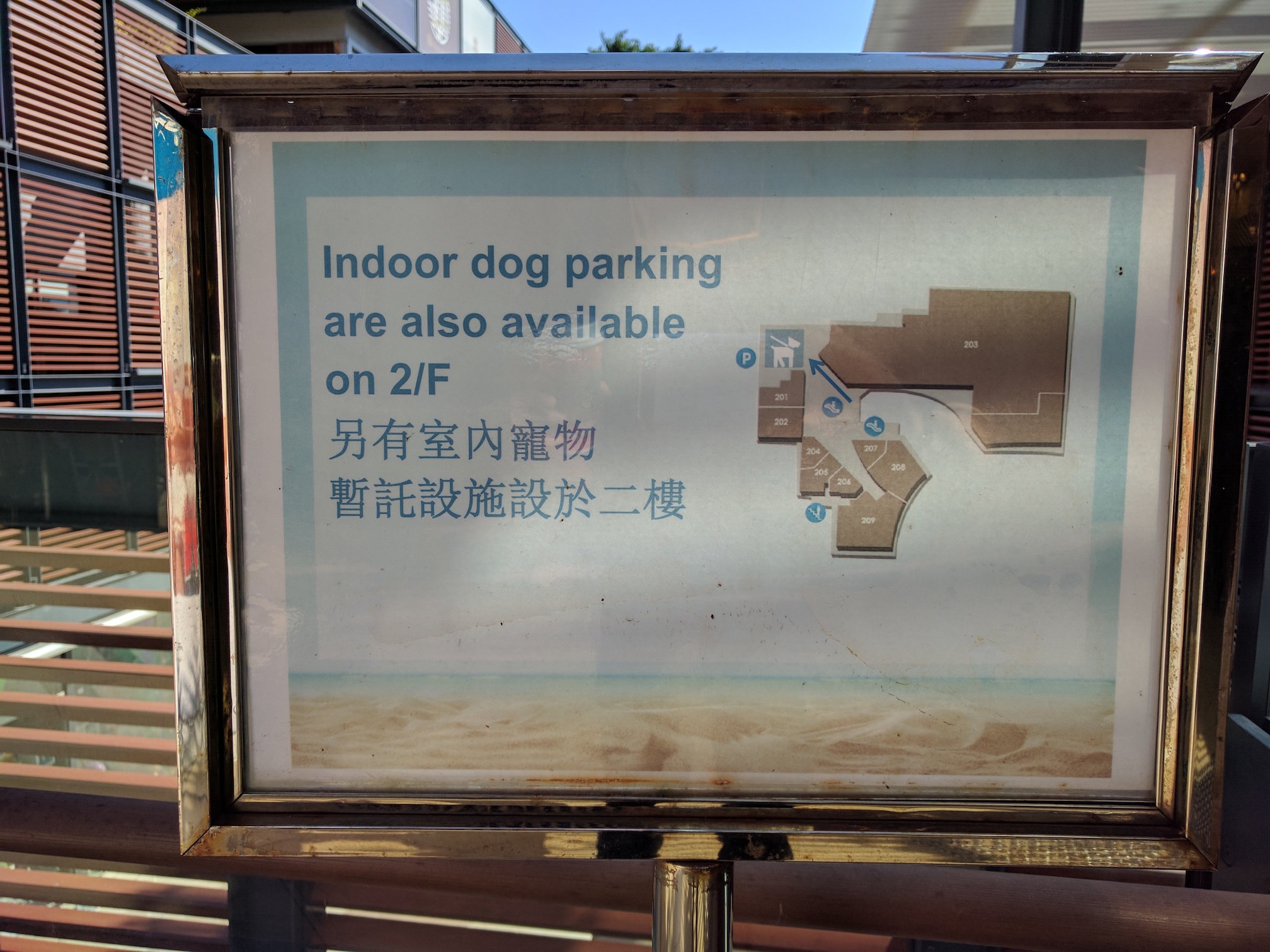 I'm finding Hong Kong is a very dog friendly place